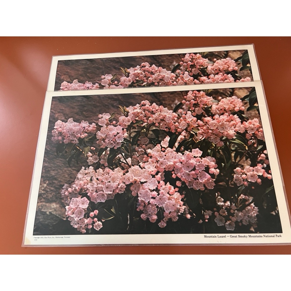 Vintage Set 2 Spring Reversible Laminated Placemat Nature 1970s Smoky Mountains